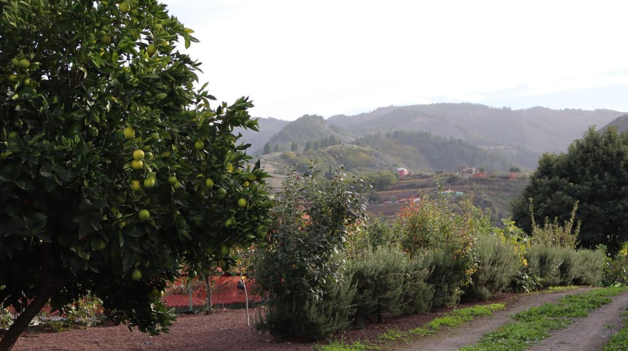לאס פאלמס דה גראן קנאריה Casa Rural En San Mateo מראה חיצוני תמונה