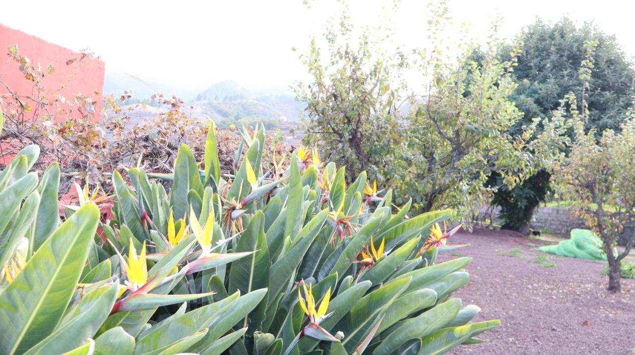 לאס פאלמס דה גראן קנאריה Casa Rural En San Mateo מראה חיצוני תמונה