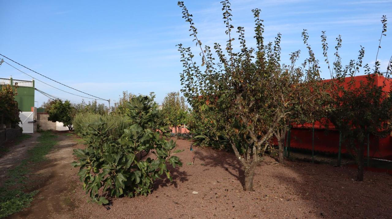 לאס פאלמס דה גראן קנאריה Casa Rural En San Mateo מראה חיצוני תמונה