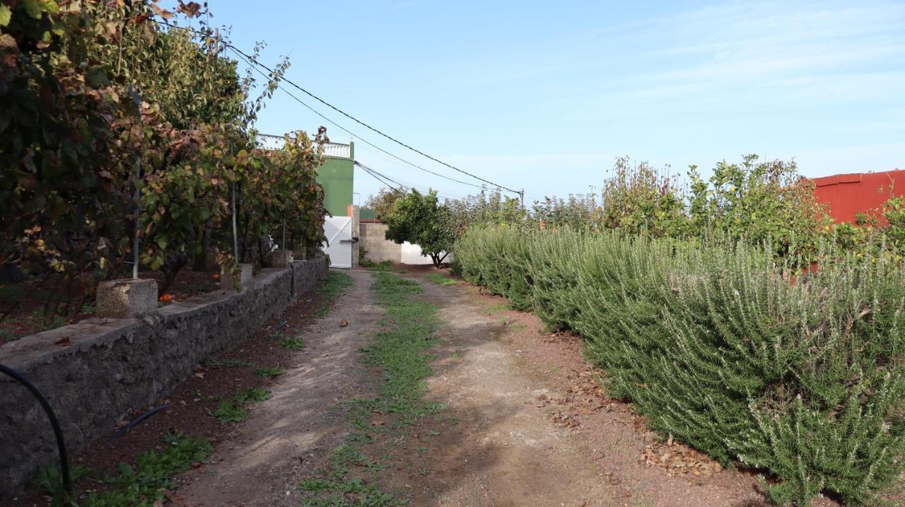 לאס פאלמס דה גראן קנאריה Casa Rural En San Mateo מראה חיצוני תמונה