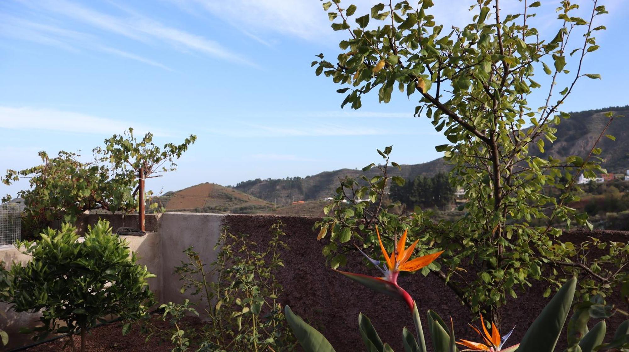 לאס פאלמס דה גראן קנאריה Casa Rural En San Mateo מראה חיצוני תמונה