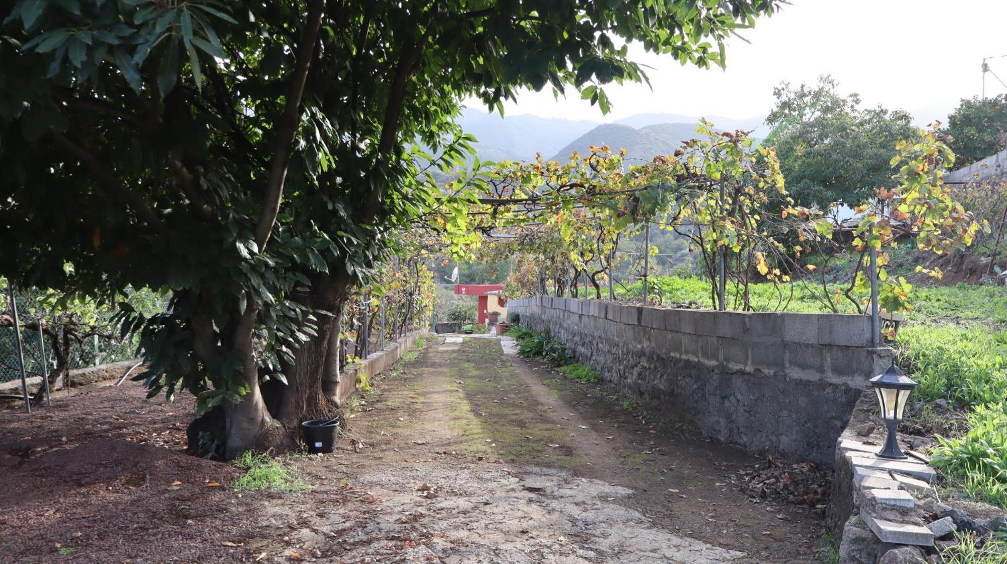 לאס פאלמס דה גראן קנאריה Casa Rural En San Mateo מראה חיצוני תמונה