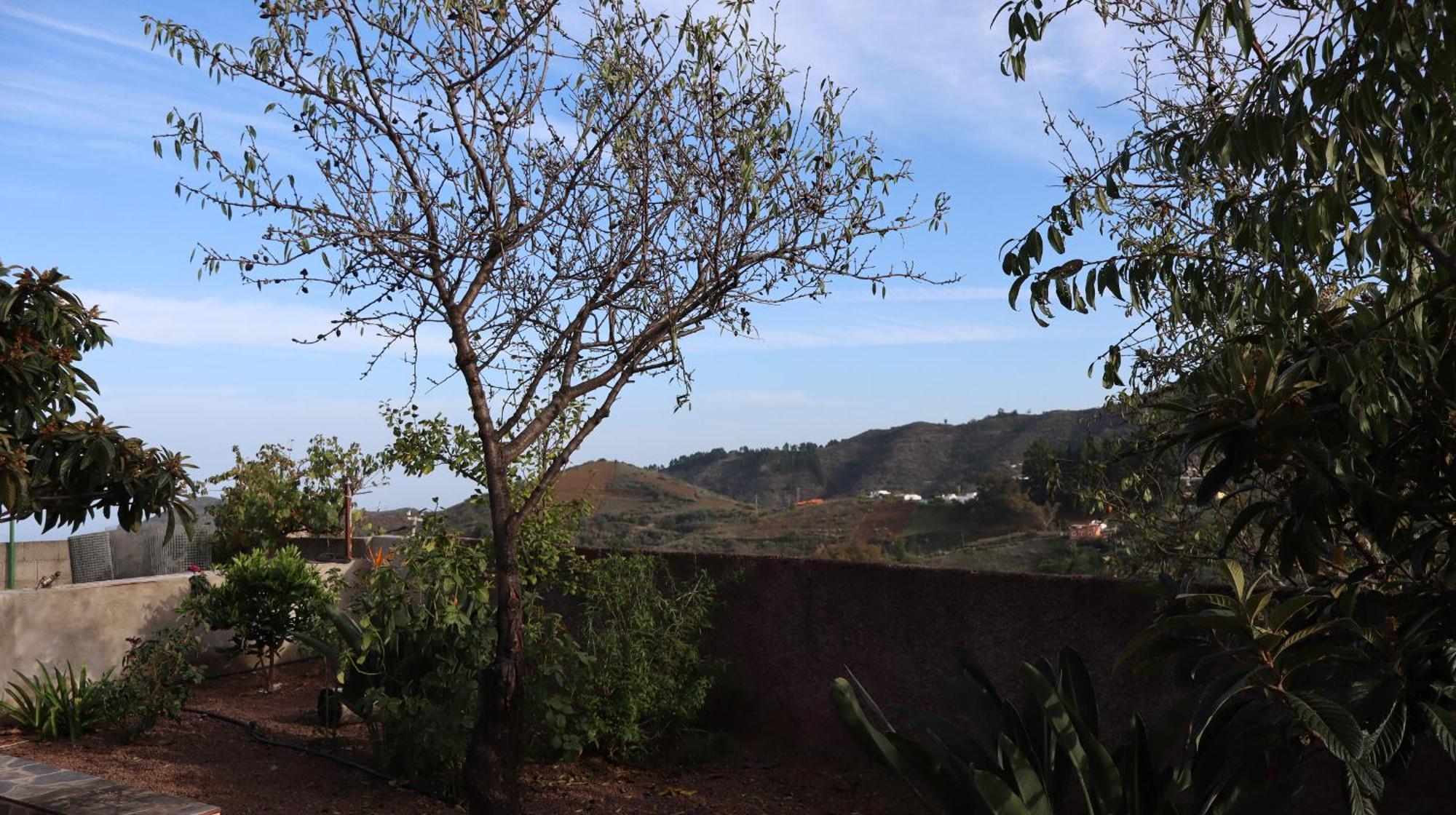 לאס פאלמס דה גראן קנאריה Casa Rural En San Mateo מראה חיצוני תמונה